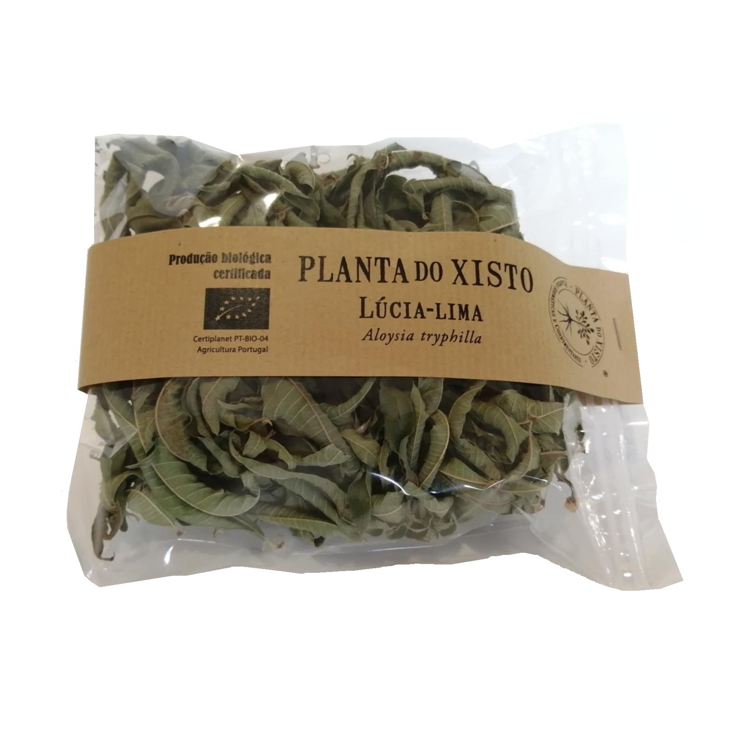 Infusão de Lúcia-Lima Planta do Xisto
