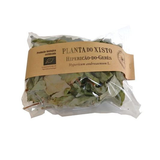 Infusão de Hipericão do Gerês Planta do Xisto
