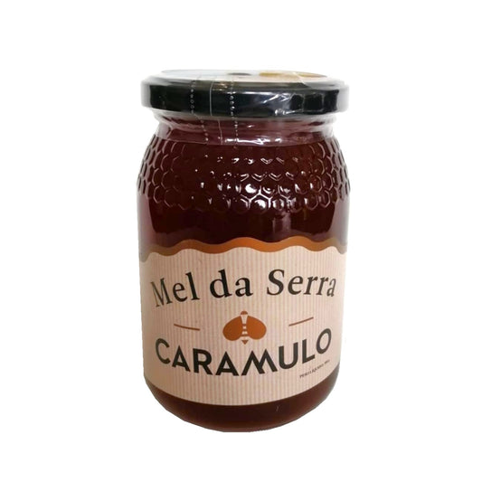 Mel Serra do Caramulo 500gr