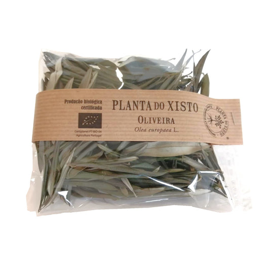 Infusão de Oliveira Planta do Xisto