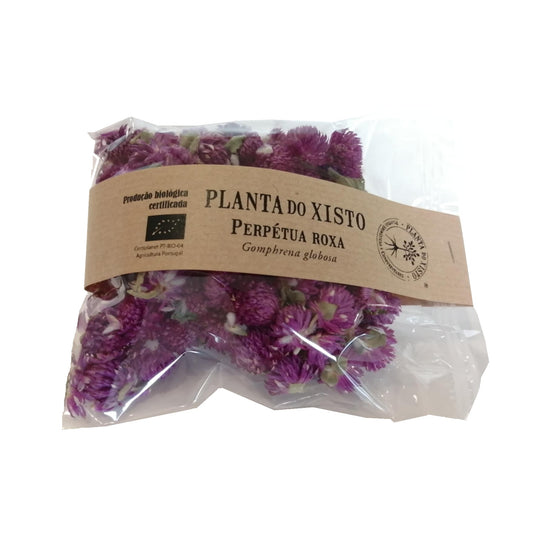 Infusão de Perpétua Roxa Planta do Xisto
