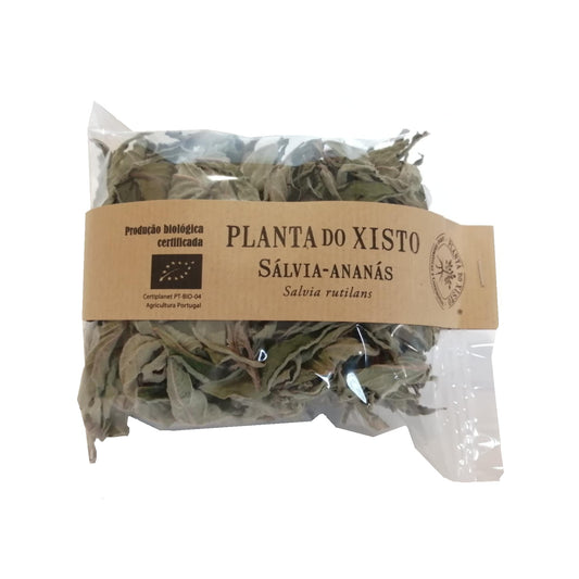 Infusão de Sálvia Ananás Planta do Xisto