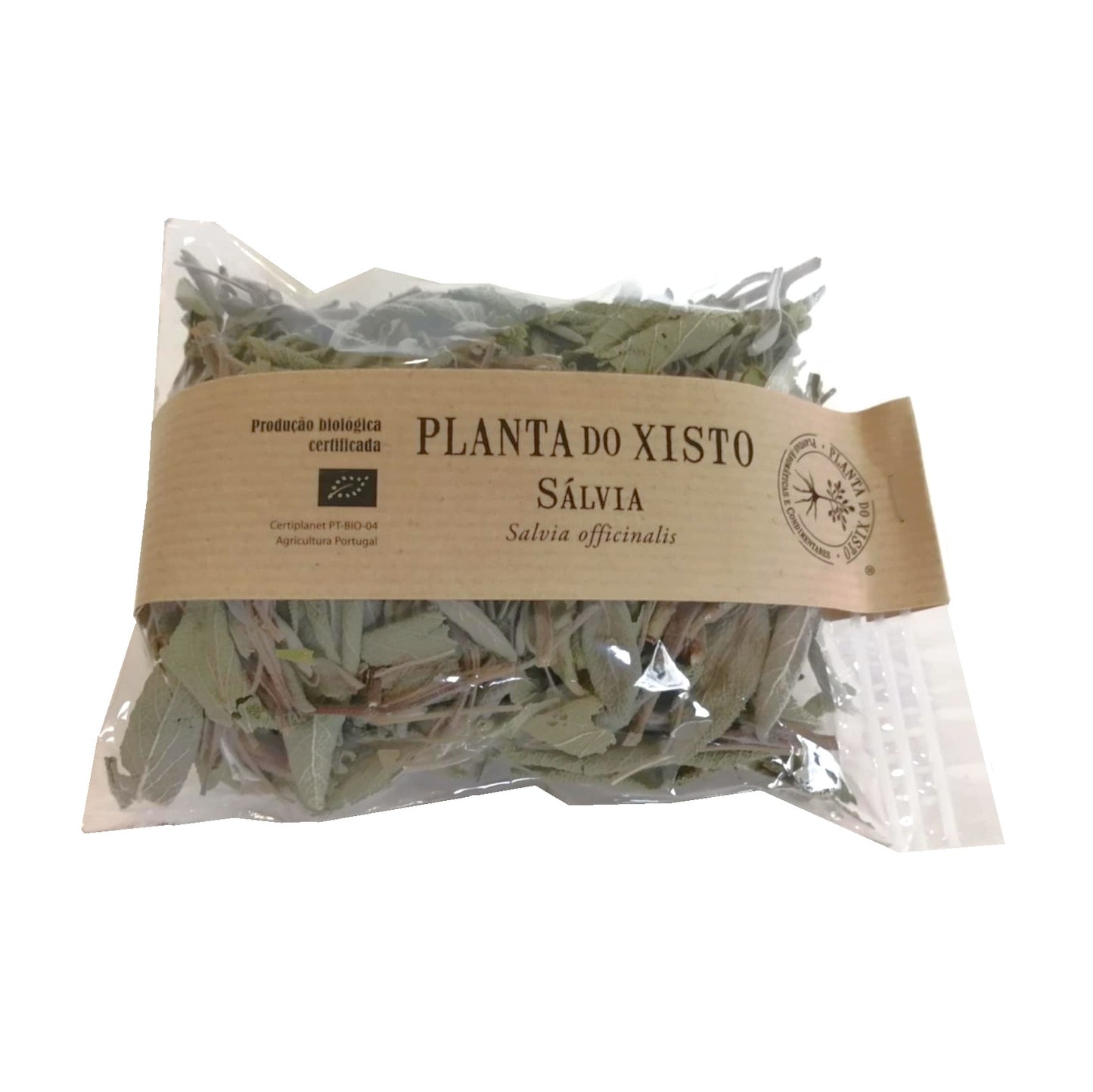 Infusão de Sálvia Planta do Xisto